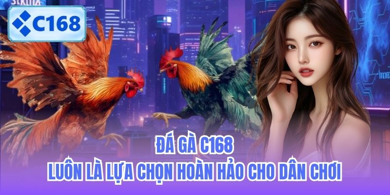 Đá gà C168 luôn là lựa chọn hoàn hảo cho dân chơi